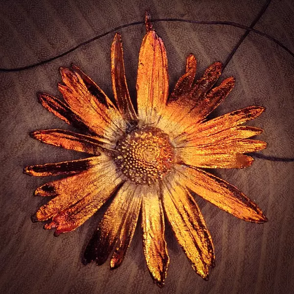 Collana doronico