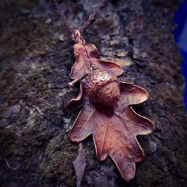 Foglia di quercia con ghianda