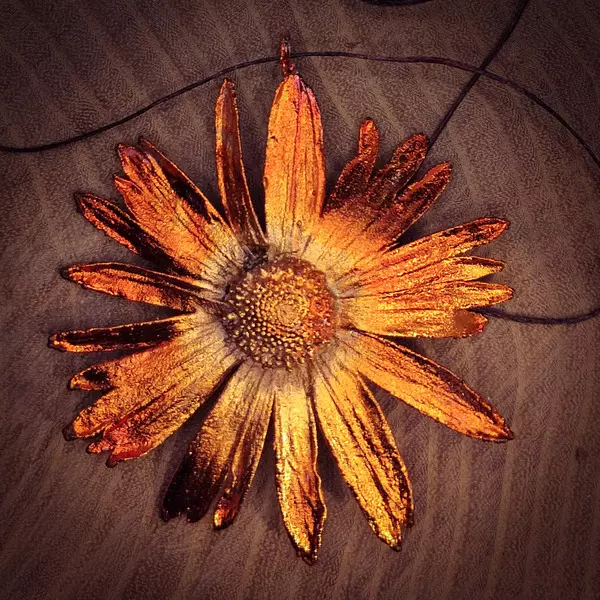 Collana Doronicum