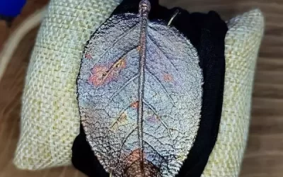 Bracciale con foglia di salvia e fettuccia