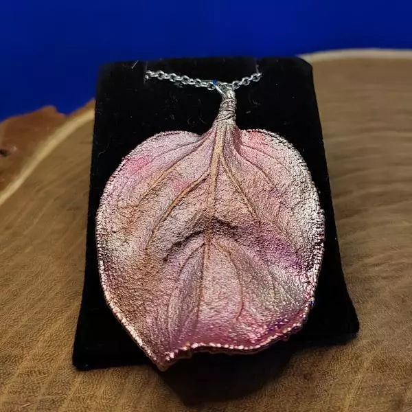 Foglia di caco viola
