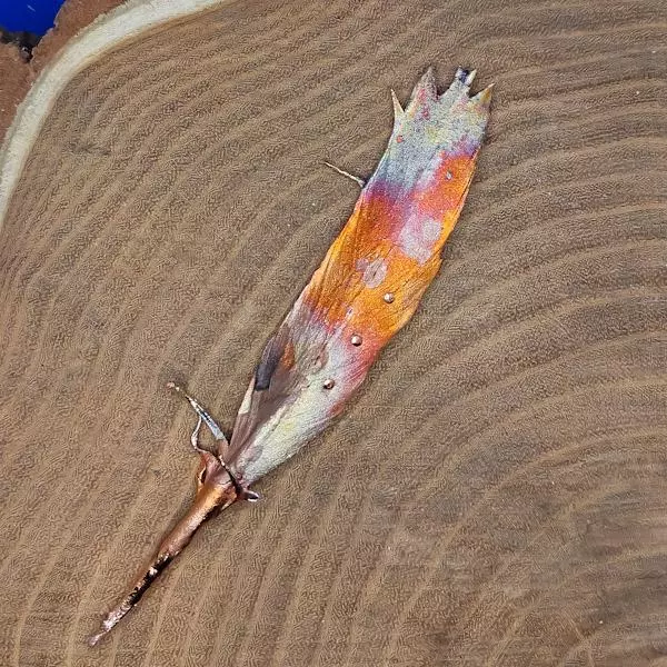 Spilla piuma
