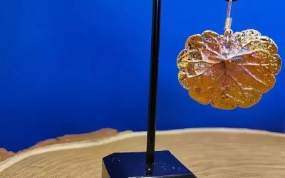Orecchino edera terrestre singolo medio