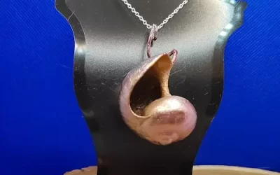 Chiocciola elettroformata 2