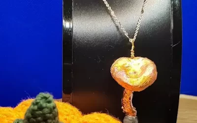 Fungo con labradorite