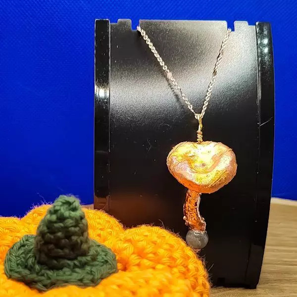 Fungo con labradorite