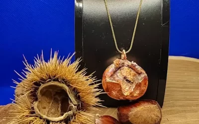 Castagna con buccia aperta 4