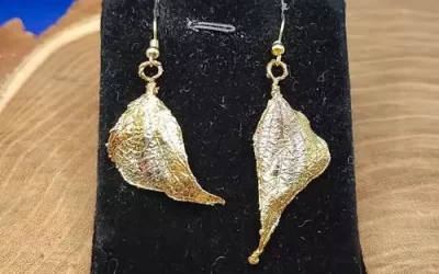 Coppia foglie fagiolino 2