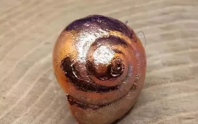 Anello chiocciola