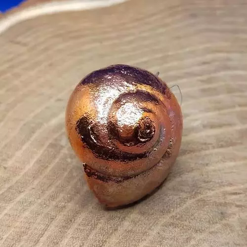 Anello chiocciola