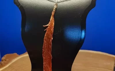 Collana piumetta